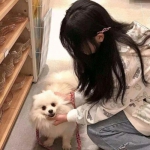 全民逗西游360版下载